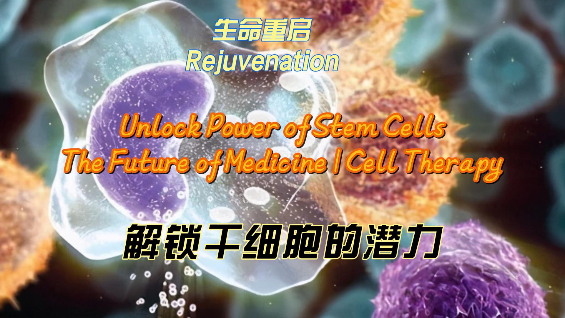Unlocking the Power of Stem Cells – EVEK-WELLNESS